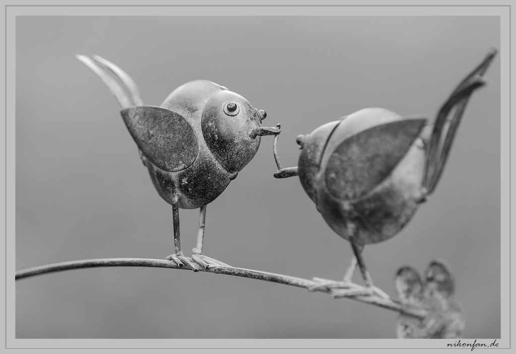 Der frühe Vogel