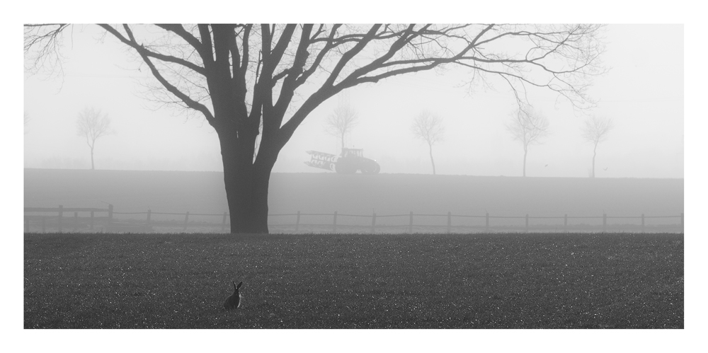 der Hase und der Trecker
