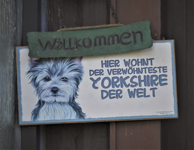 Der hat es gut....jpg