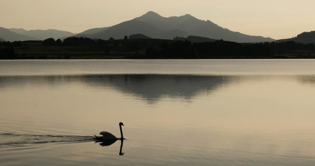 Der Hopfensee im Allgäu bei Sonnenuntergang.