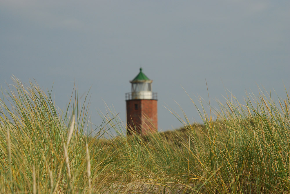 Der Kleine von Kampen