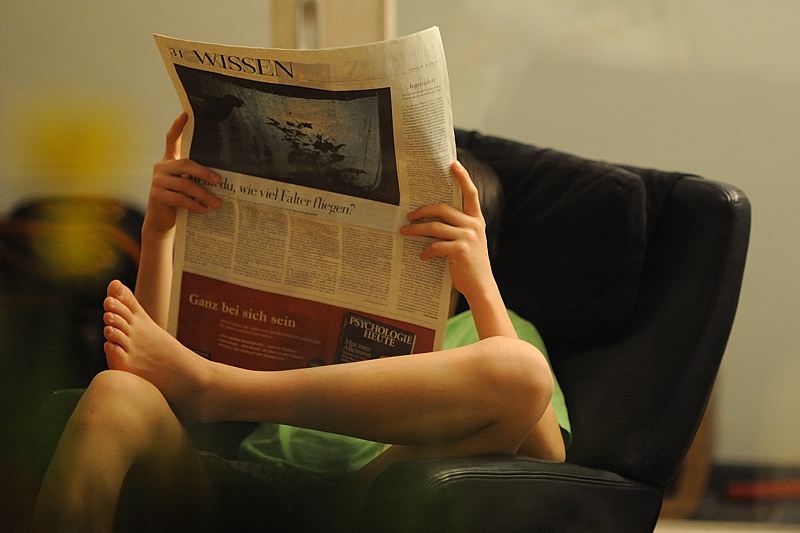 Der Leser