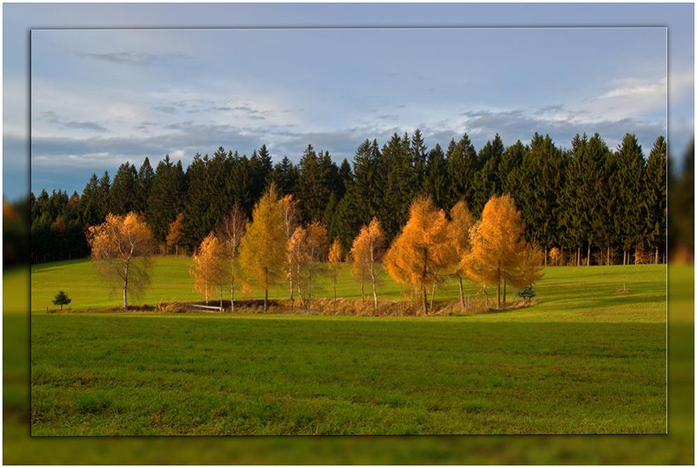 der November noch in schönsten Farben