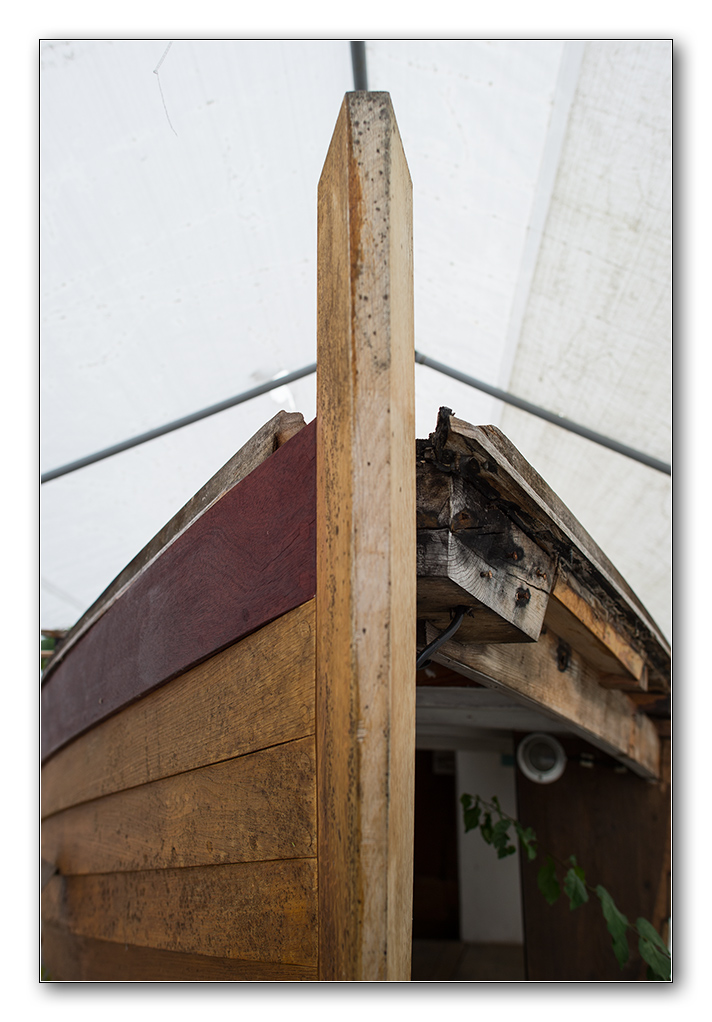 der schatz