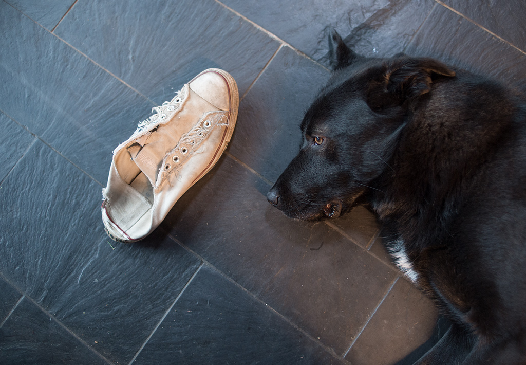 der schuh