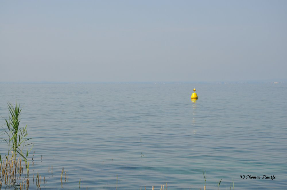 Der See