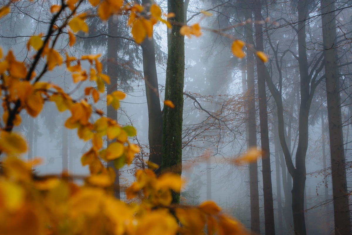 Der Taunus im Herbst