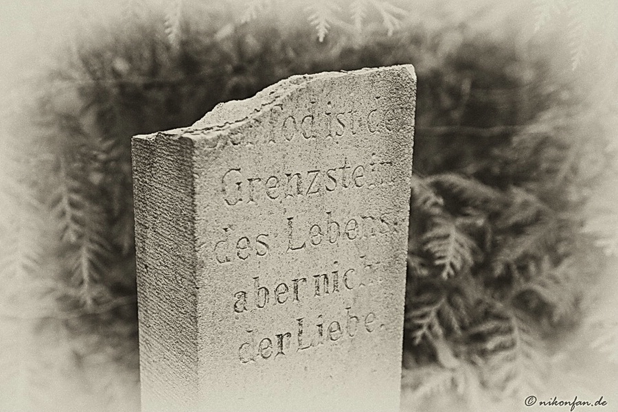 der Tod DSC4331