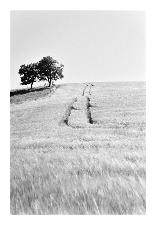 der weg 4