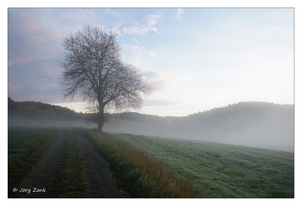Der Weg a29287946