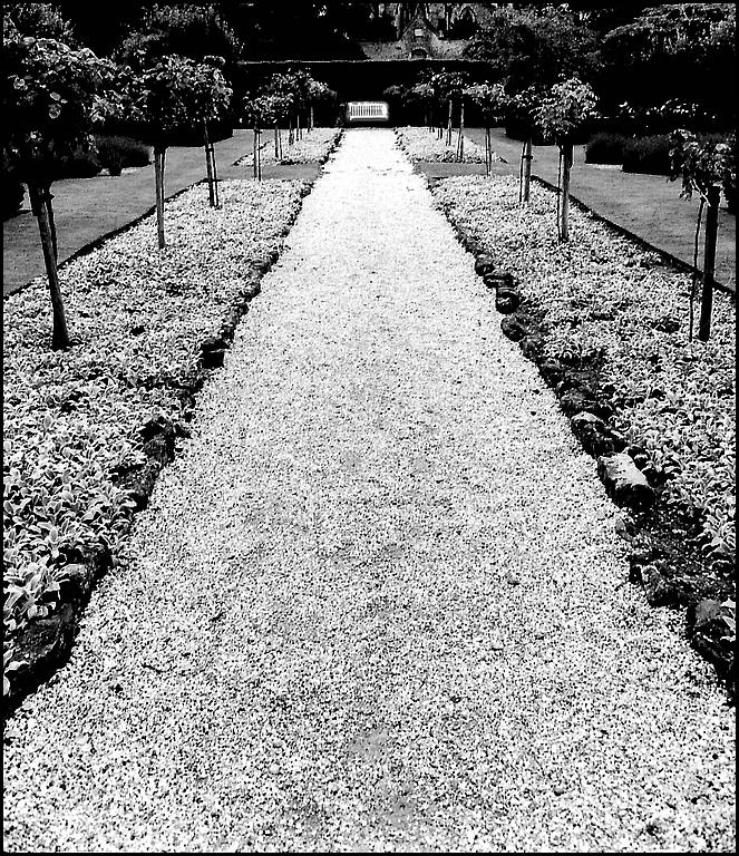 Der Weg Ilford HP-5