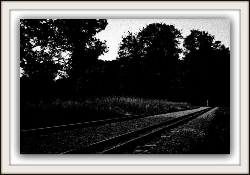 der Weg ins Licht