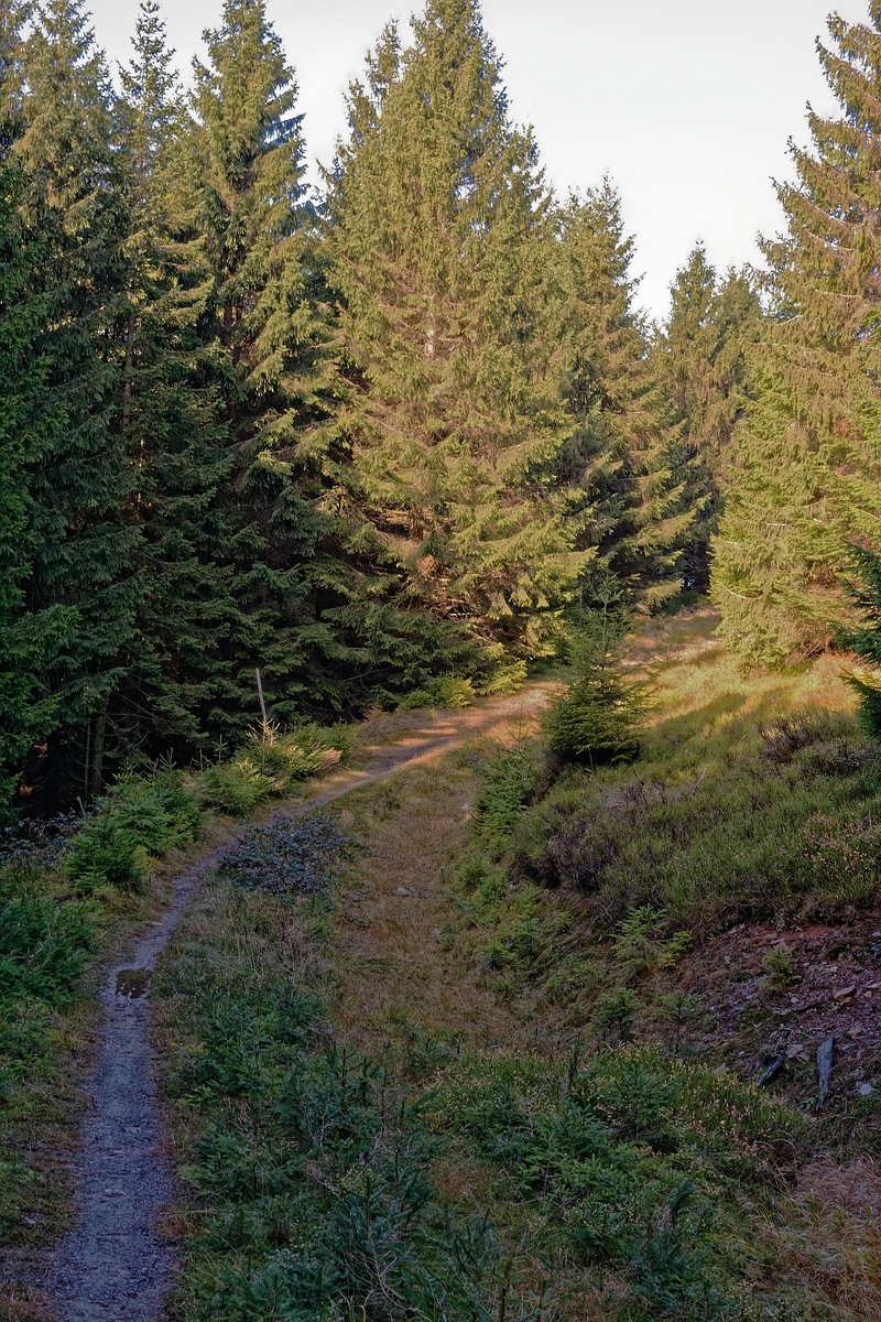 Der Weg ins Licht