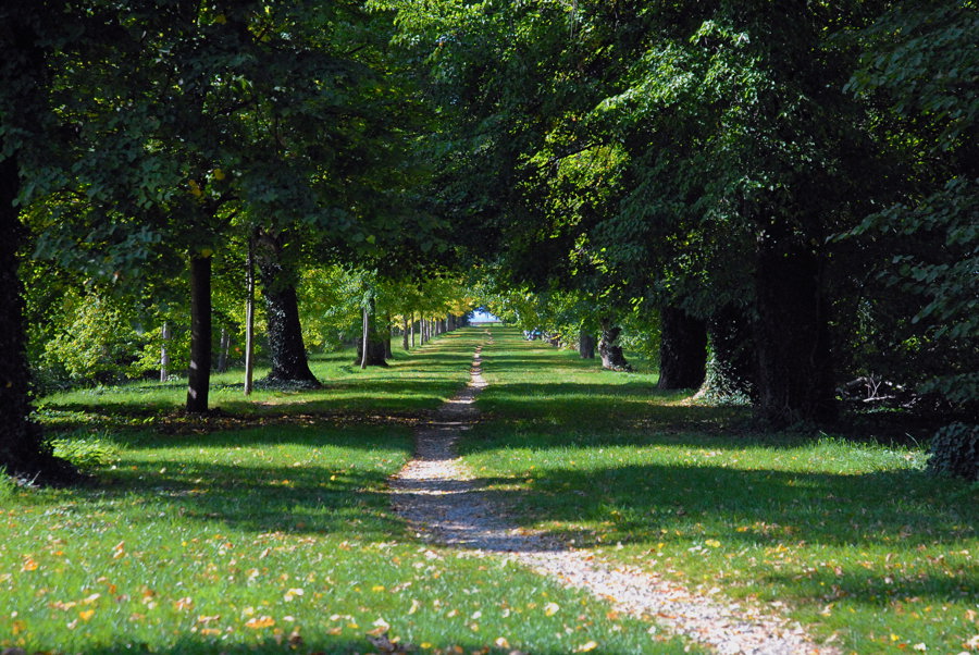 derweg