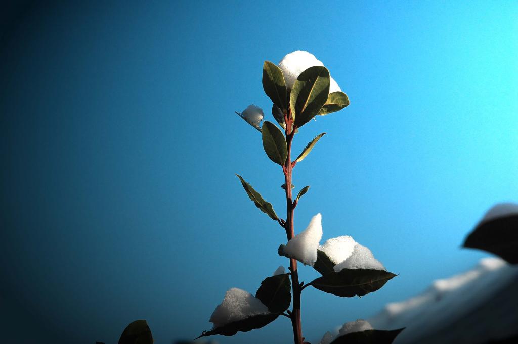 Desktop Bild 05