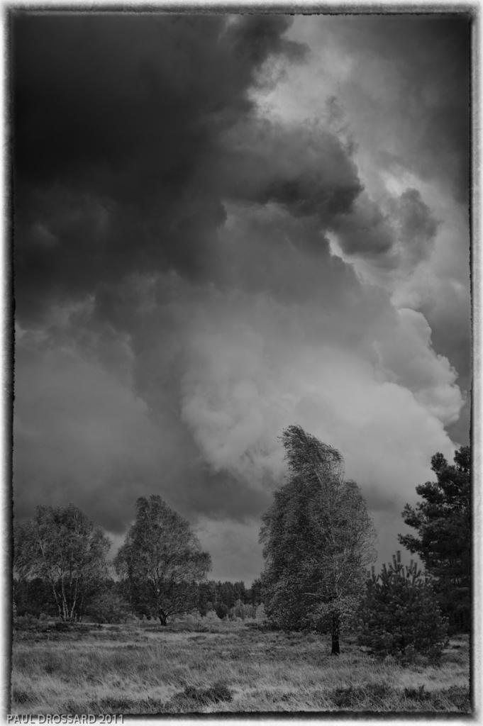 Deutscher Herbst #2