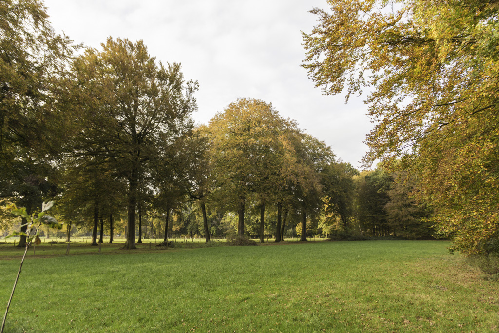 DeWitt See im Herbst