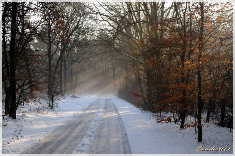 Dezember 2009test2
