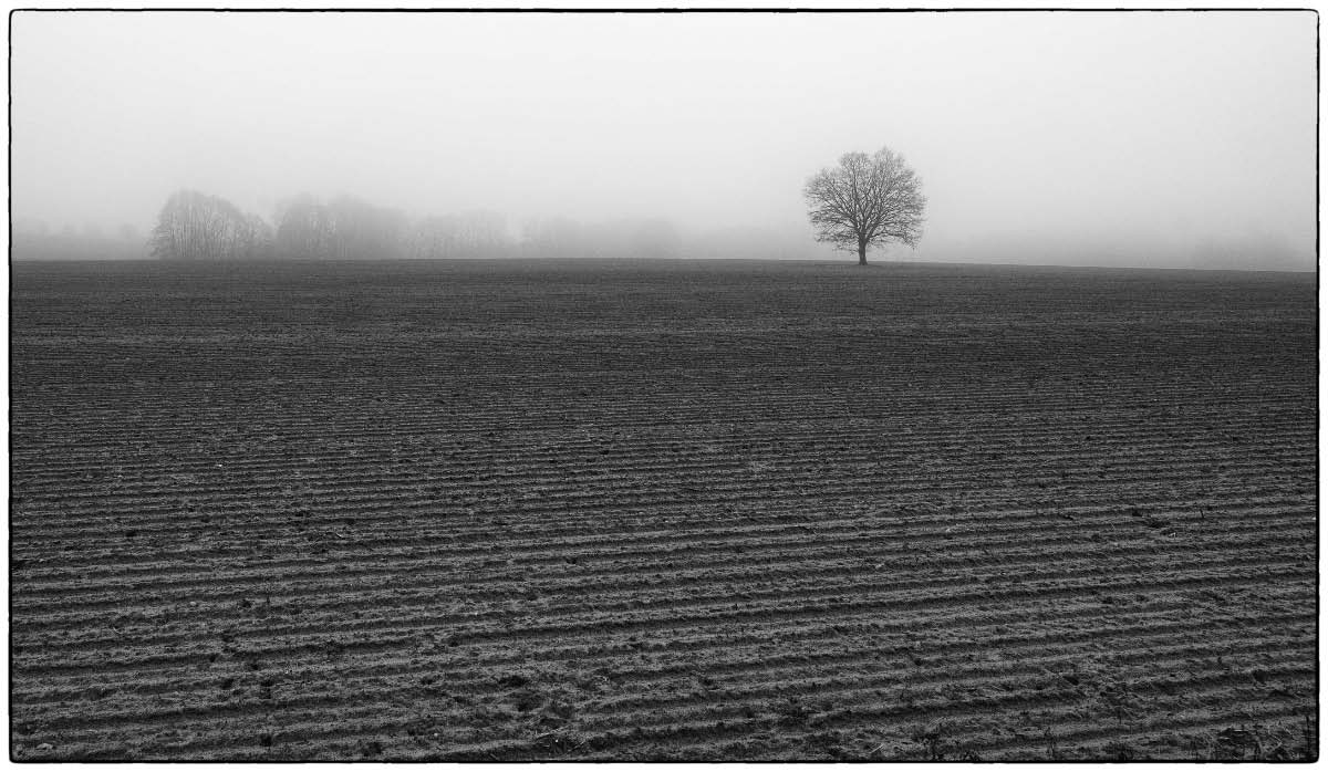 Dezemberacker BWjpg.jpg