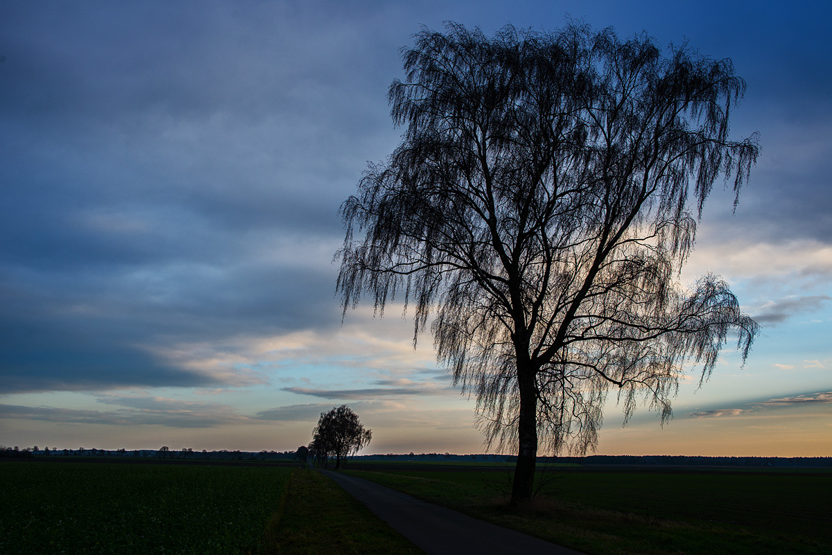 Dezembermorgen