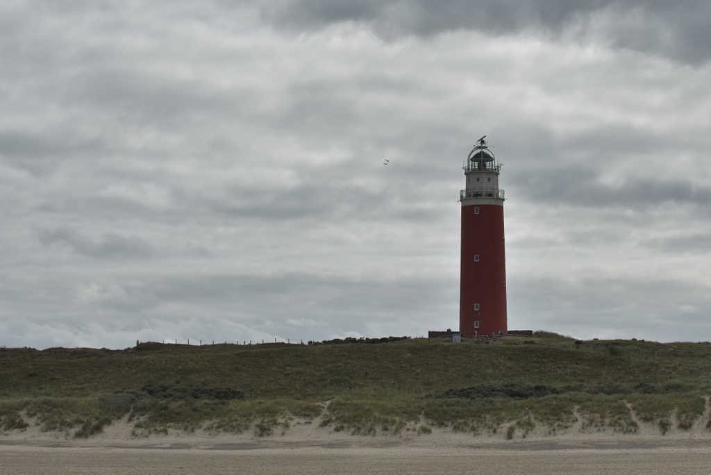 DFX_0320.jpg