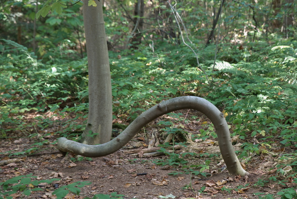 DFX_0340.jpg