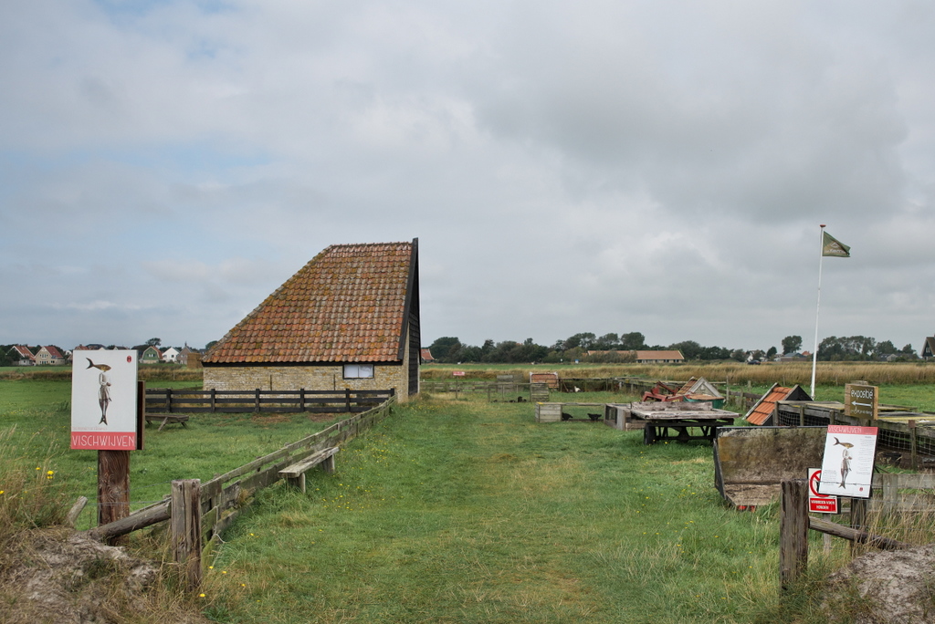 DFX_0358.jpg