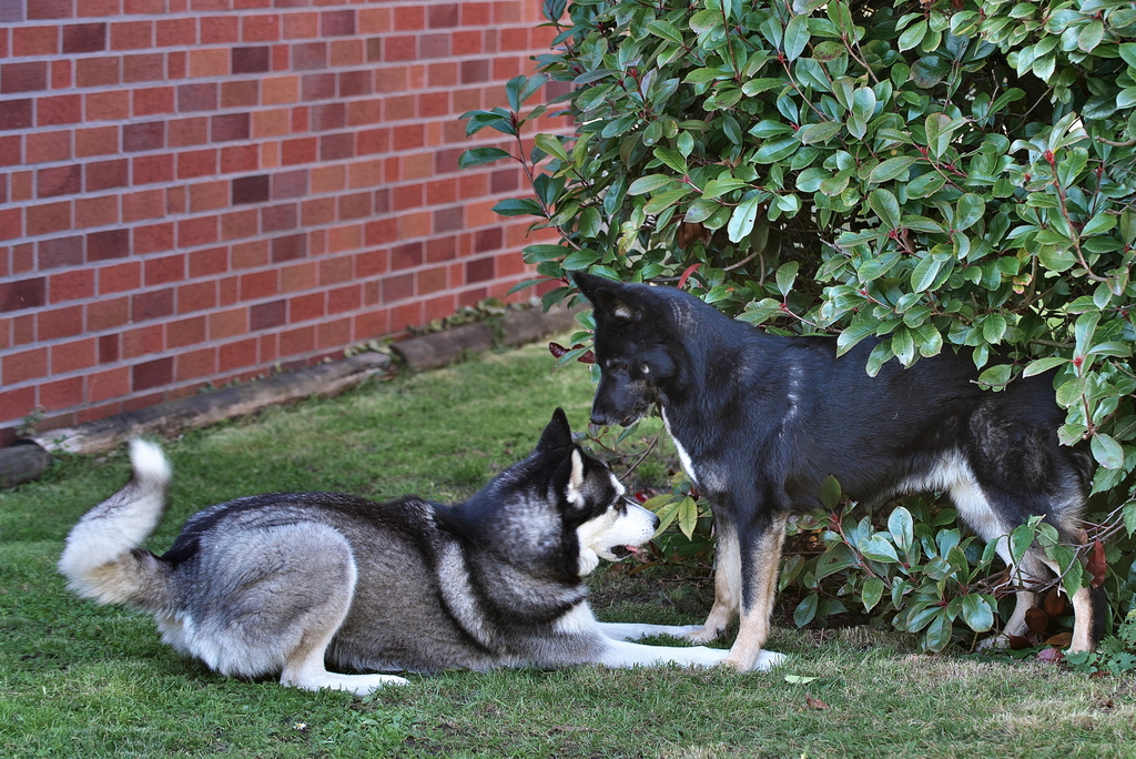 DFX_0958.jpg