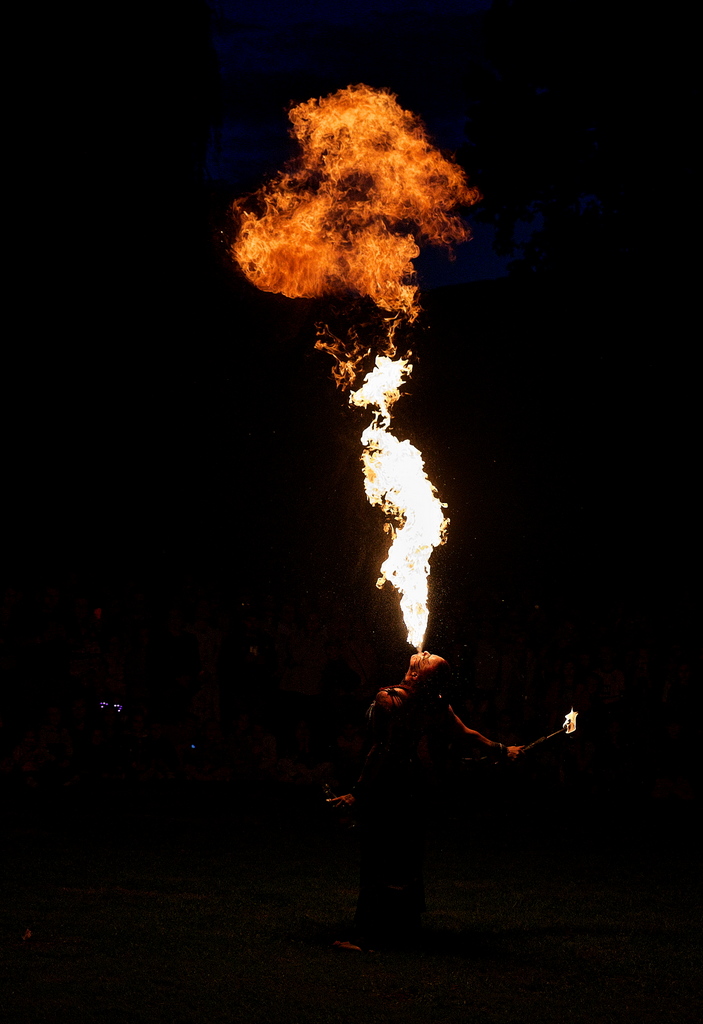 DFX_2915.jpg