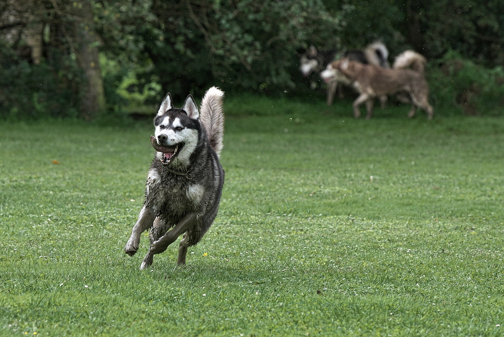 DFX_3652.jpg