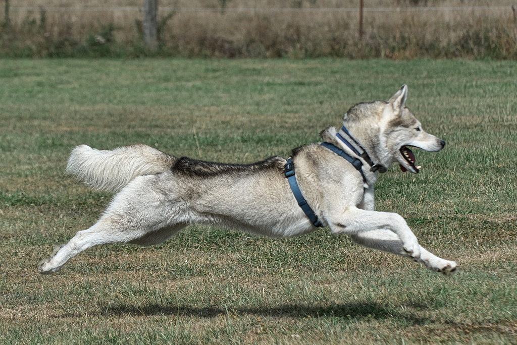 DFX_5890.jpg