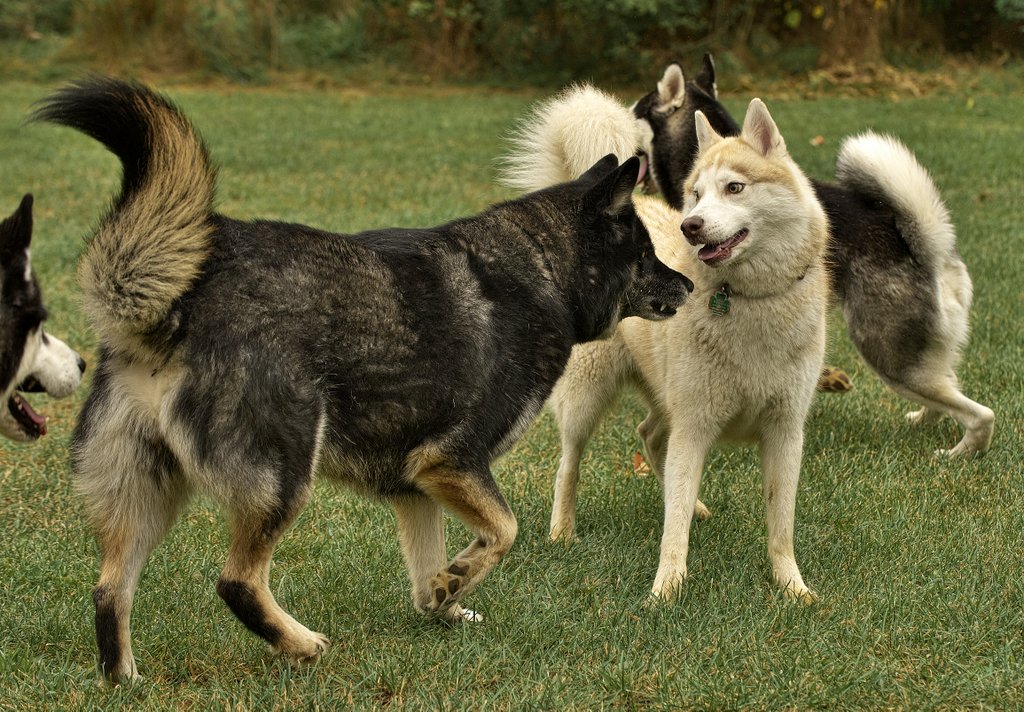 DFX_7177.jpg