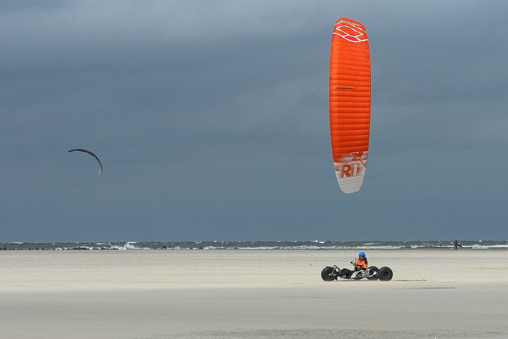 DFX_8631.jpg