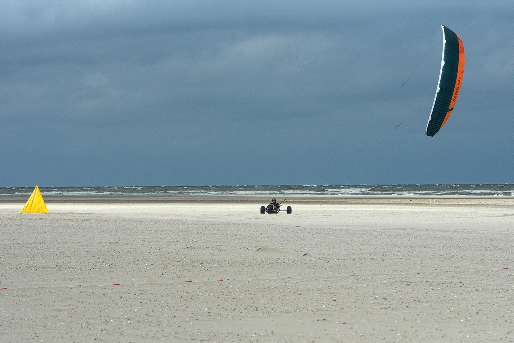 DFX_8638.jpg