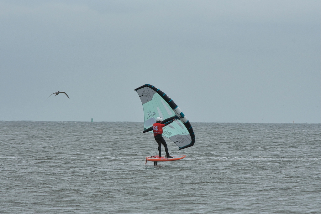 DFX_8669.jpg
