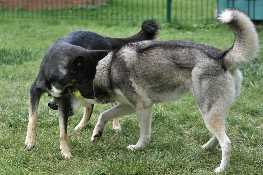 DFX_9469.jpg