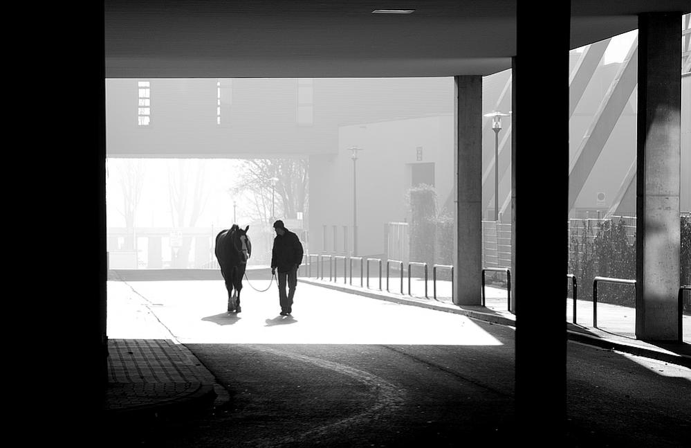Dialog