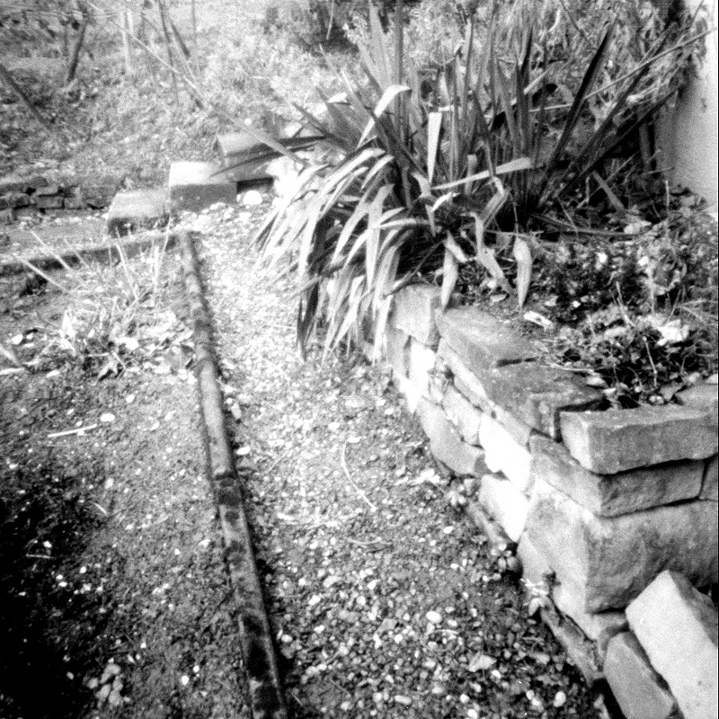 Diana+ Pinhole