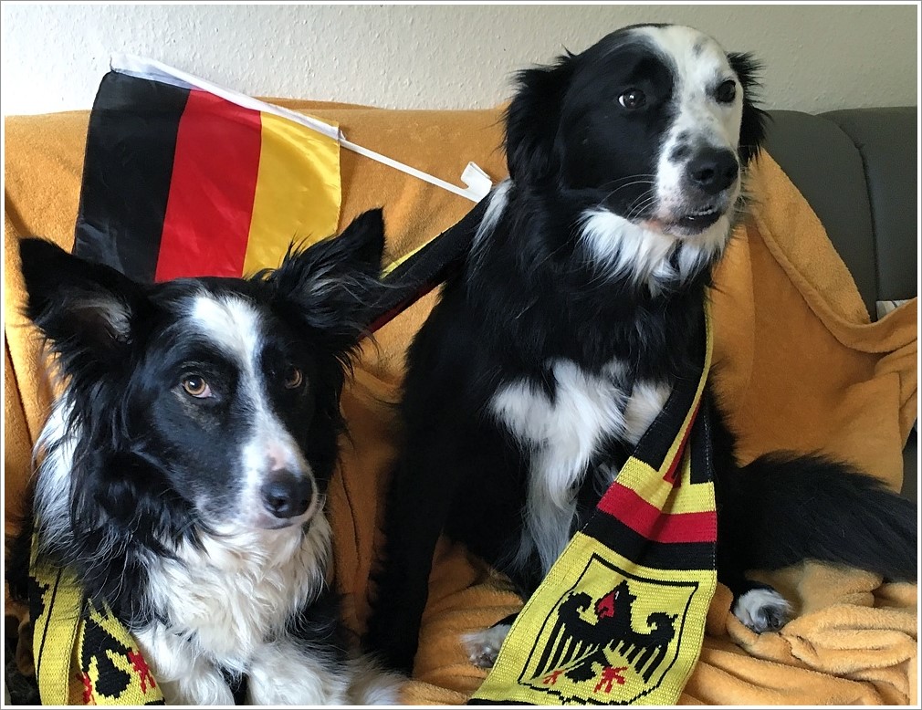 die 2 srg
