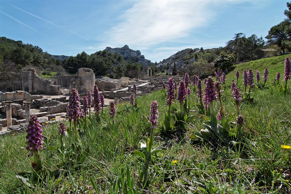 Die antike Stadt Glanum, bei St Rémy de Provence