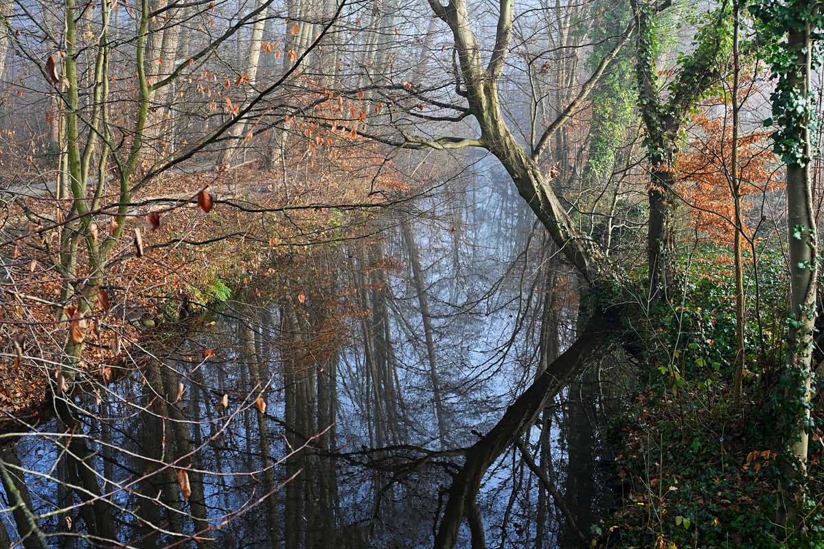 Die Aue an der Burg.jpg