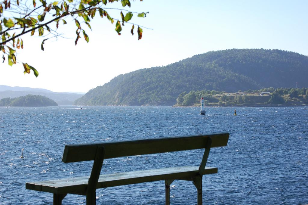 Die Bank am Fjord - Drøbak