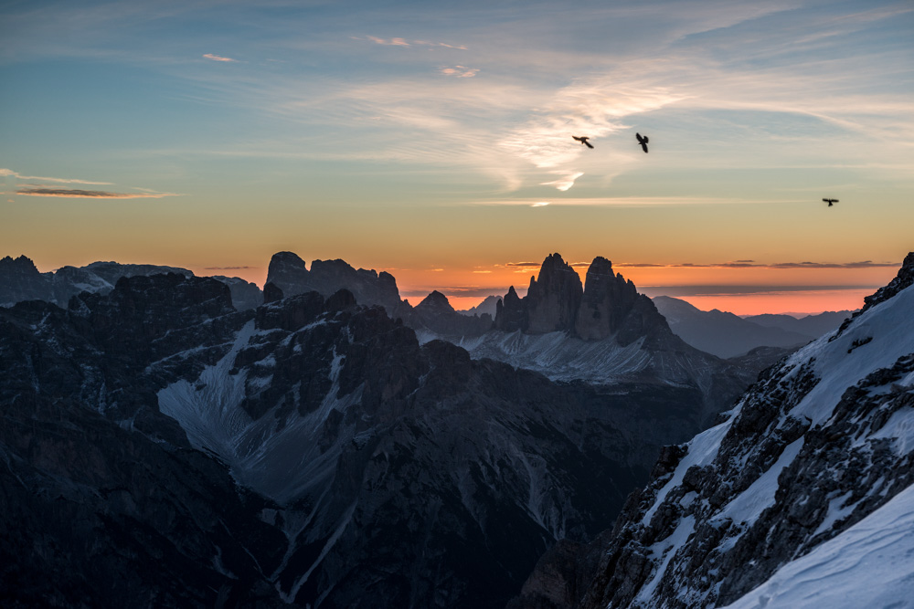 Die ersten Alpendohlen ziehen ihre Kreise