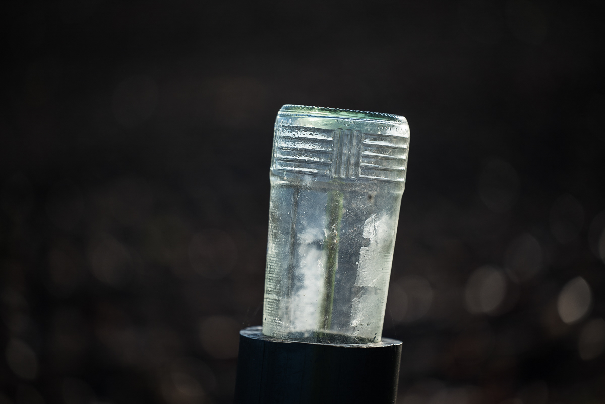 Die Flasche (1 von 1).JPG