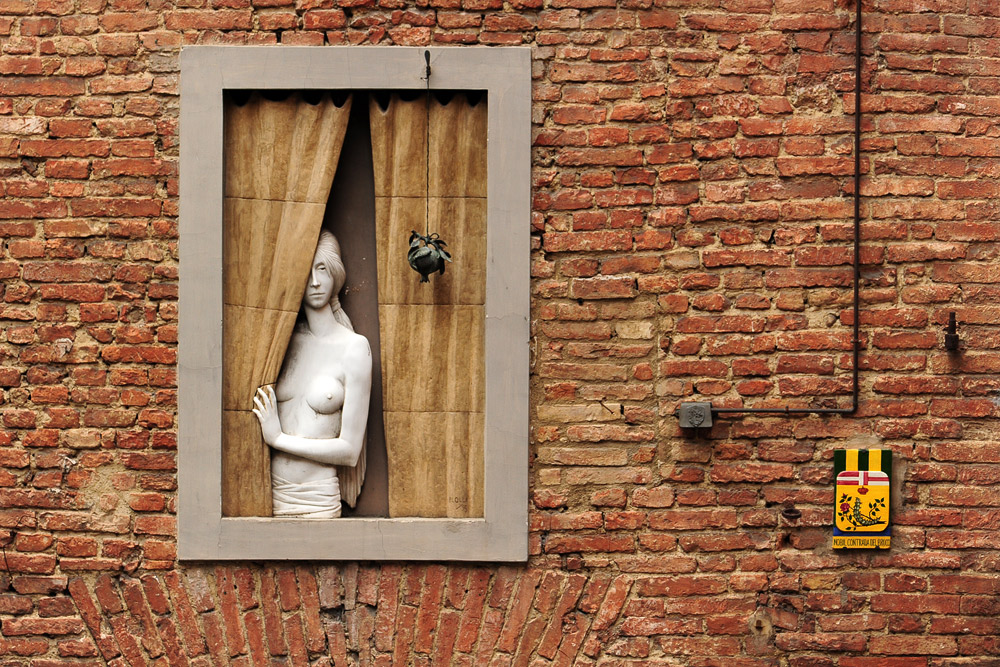 die Frau im Fenster