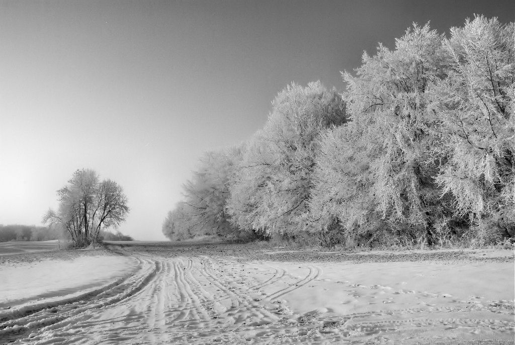 Die raue Alb im Winter
