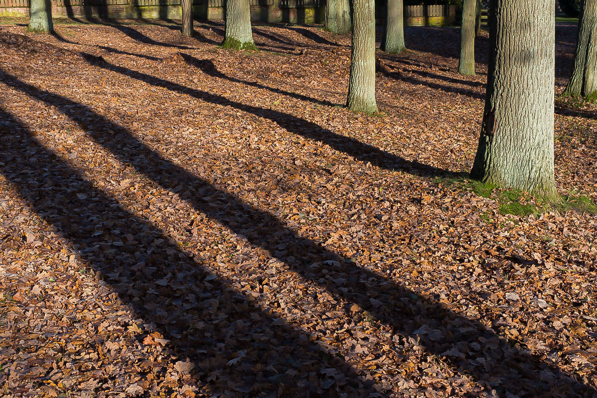 Die Schatten werden länger.jpg