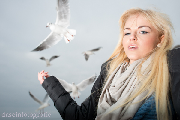 Die Vögel