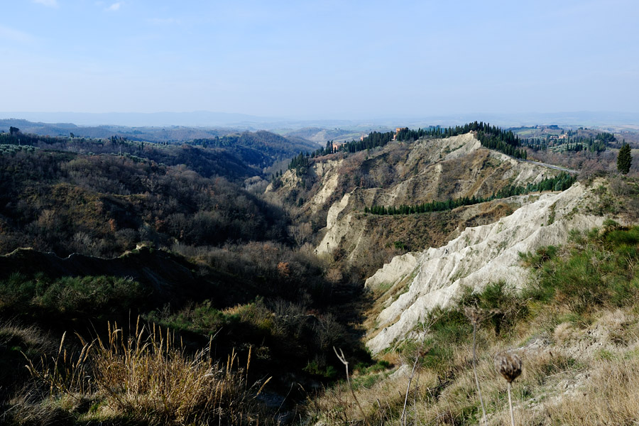 die wilde Crete