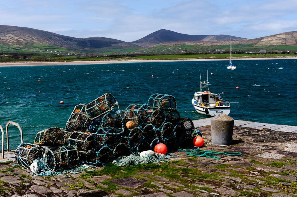 Dingle 2